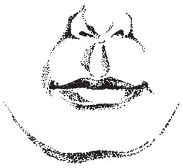 Лицо - зеркало души. Физиогномика для всех Лицо - зеркало души. Физиогномика для всех