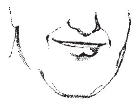 Лицо - зеркало души. Физиогномика для всех Лицо - зеркало души. Физиогномика для всех