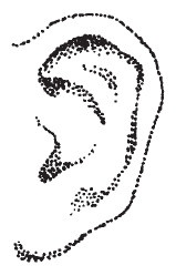 Лицо - зеркало души. Физиогномика для всех Лицо - зеркало души. Физиогномика для всех