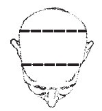 Лицо - зеркало души. Физиогномика для всех