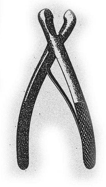 Монстролог. Кровавый остров Монстролог. Кровавый остров
