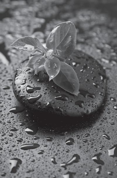 Дао голоса. Голос как ваш инструмент Дао голоса. Голос как ваш инструмент