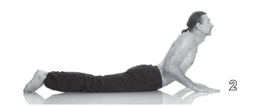 Хорошее зрение - ясный ум на долгие годы! Древнейшие практики Востока Хорошее зрение - ясный ум на долгие годы! Древнейшие практики Востока