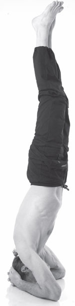 Острое зрение – острый ум! Уникальные восточные методики улучшения зрения и развития мозга