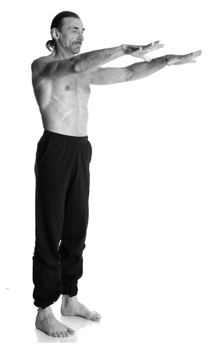 Йога. Лучшие упражнения для каждого лунного дня. Сила Луны для здоровья и удачи