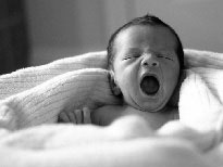 Гармоничное развитие вашего ребенка