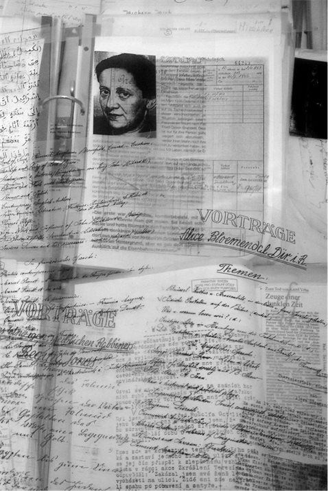 Фридл Фридл