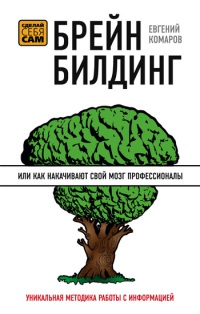 Брейнбилдинг, или Как накачивают свой мозг профессионалы - Евгений Комаров