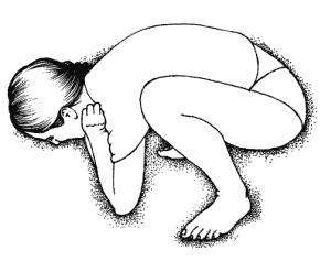 Тайны "кремлевской" фигуромоделирующей гимнастики Тайны "кремлевской" фигуромоделирующей гимнастики