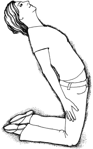 Тайны "кремлевской" фигуромоделирующей гимнастики Тайны "кремлевской" фигуромоделирующей гимнастики