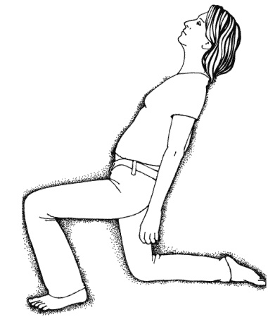 Тайны "кремлевской" фигуромоделирующей гимнастики Тайны "кремлевской" фигуромоделирующей гимнастики