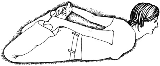 Тайны "кремлевской" фигуромоделирующей гимнастики Тайны "кремлевской" фигуромоделирующей гимнастики