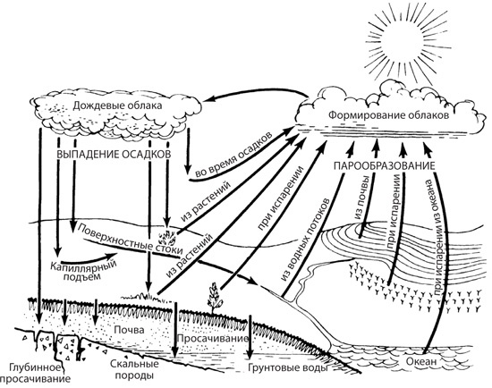 Чудо-вода Чудо-вода