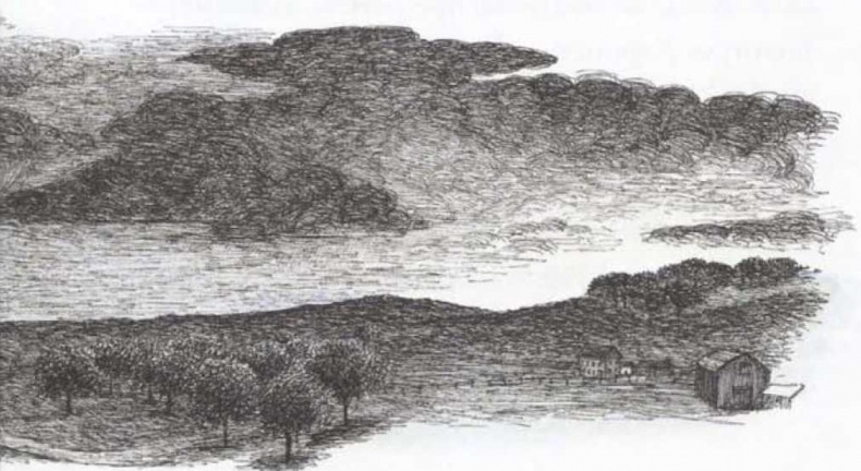 Крылатые кошки возвращаются Крылатые кошки возвращаются