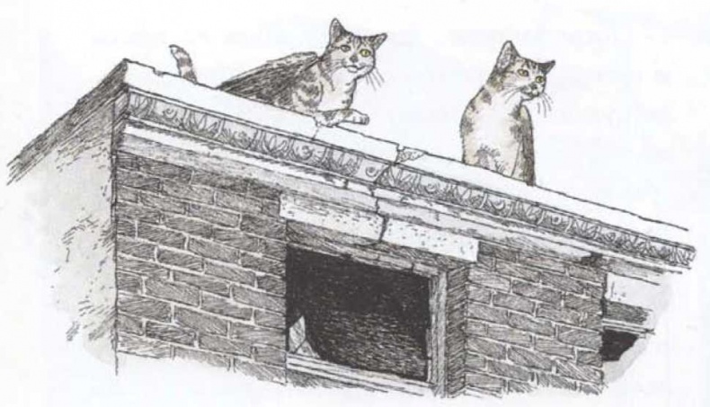 Крылатые кошки возвращаются Крылатые кошки возвращаются