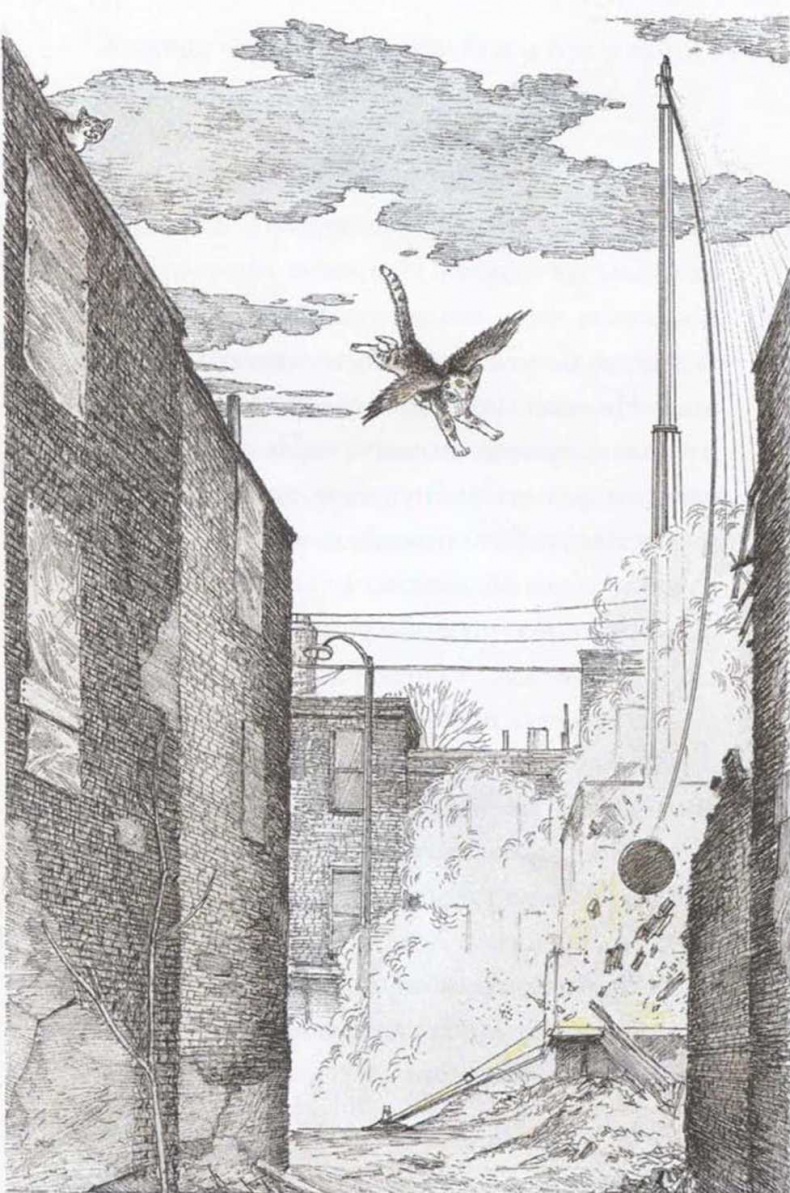 Крылатые кошки возвращаются Крылатые кошки возвращаются