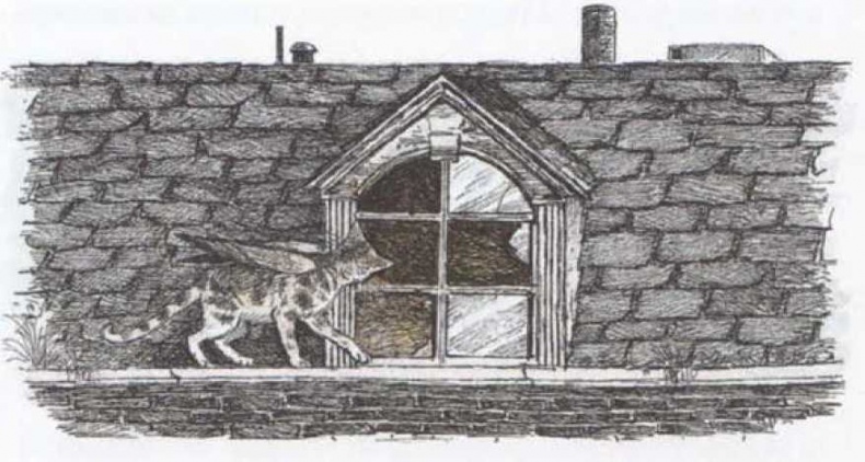 Крылатые кошки возвращаются Крылатые кошки возвращаются