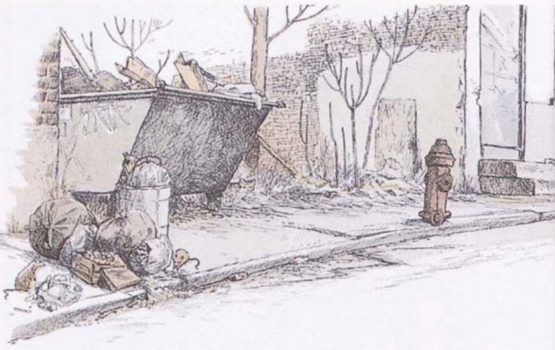 Крылатые кошки Крылатые кошки