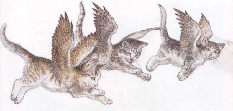 Крылатые кошки Крылатые кошки