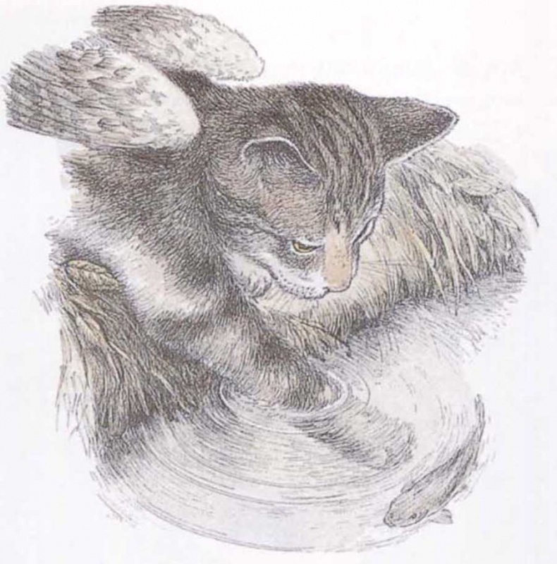 Крылатые кошки Крылатые кошки