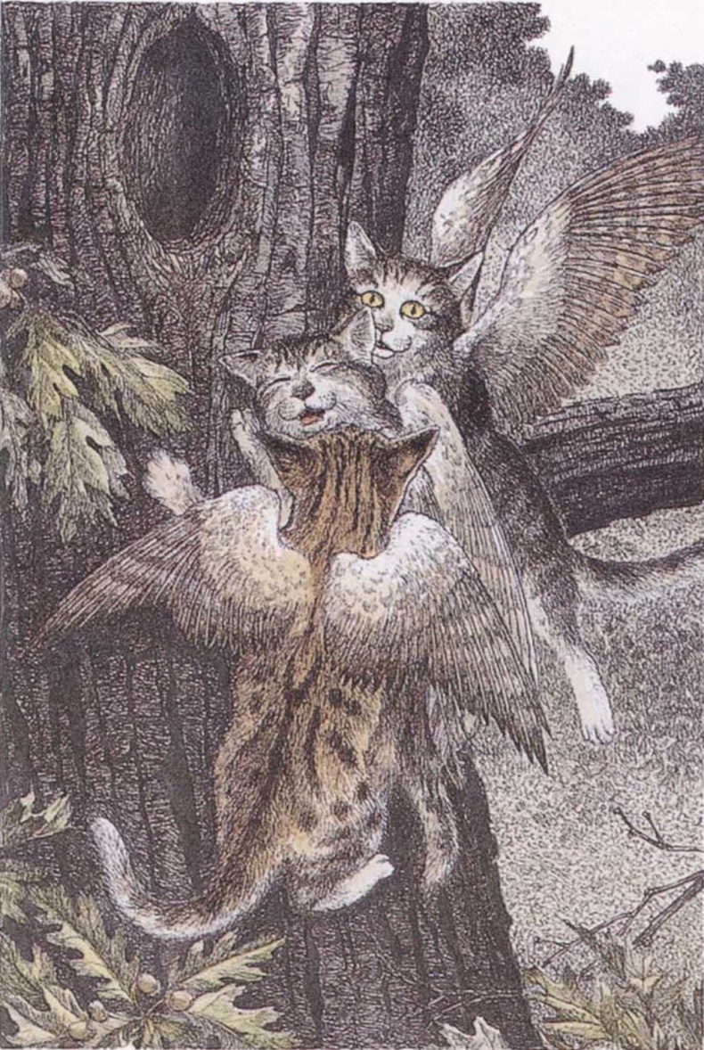 Крылатые кошки Крылатые кошки