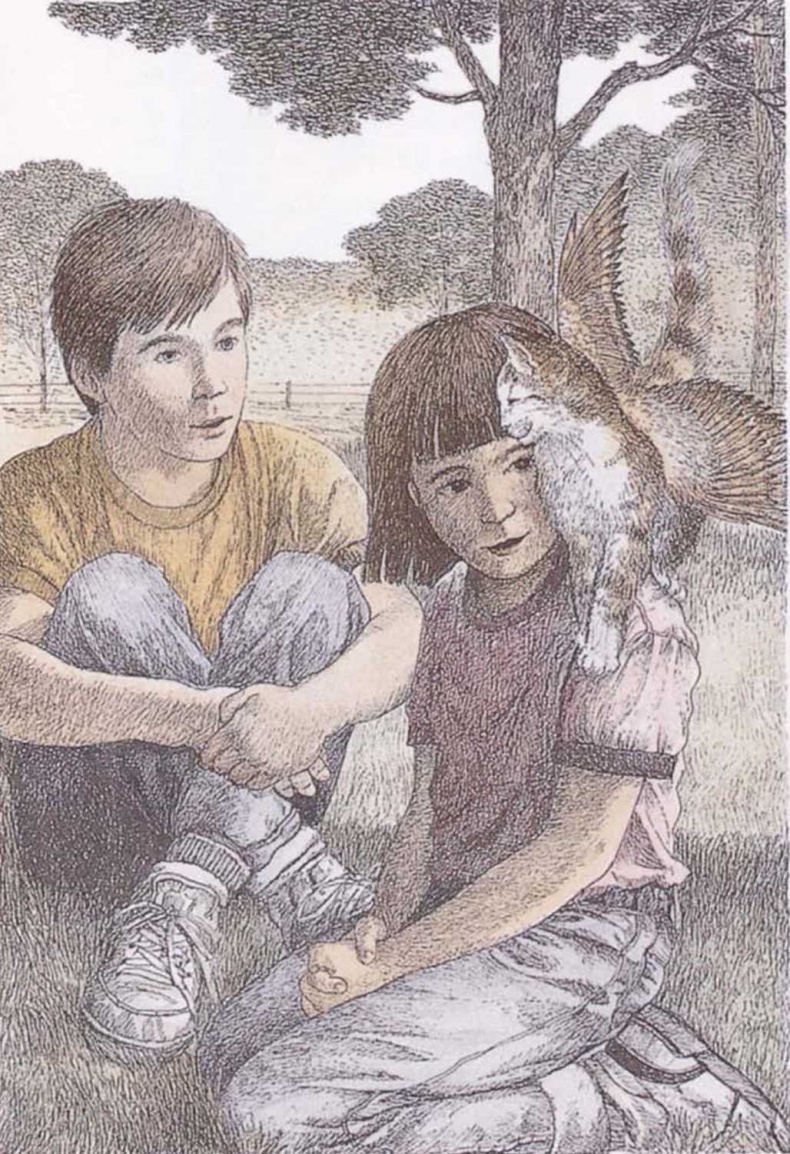 Крылатые кошки Крылатые кошки