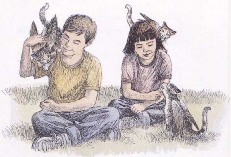 Крылатые кошки Крылатые кошки