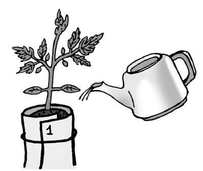 Иллюстрированная энциклопедия огородника для новичков Иллюстрированная энциклопедия огородника для новичков