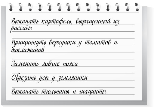 Сад и огород для тех, кому за… без лишних усилий