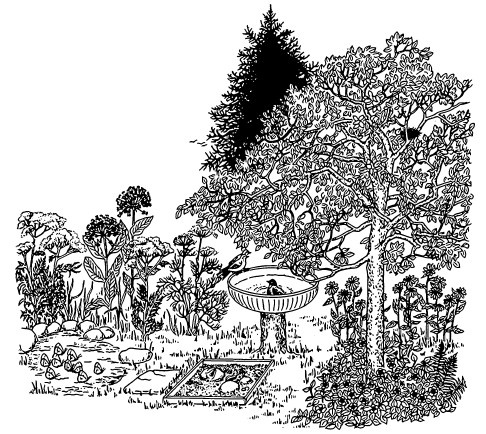 Сад и огород для тех, кому за… без лишних усилий