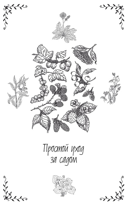 Урожай без хлопот. Сад, цветник и огород Урожай без хлопот. Сад, цветник и огород