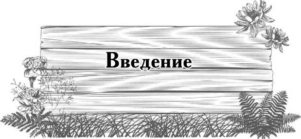 Цветник для ленивых. Цветы от последнего снега до первых морозов Цветник для ленивых. Цветы от последнего снега до первых морозов