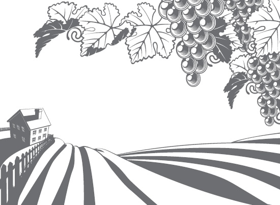 Виноград без труда Виноград без труда