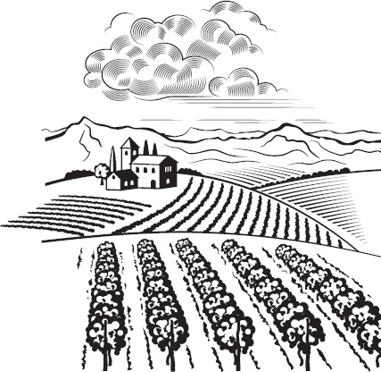 Виноград без труда Виноград без труда