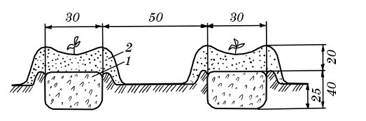Парники и теплицы. Строим и выращиваем Парники и теплицы. Строим и выращиваем