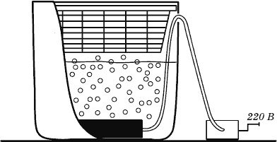 Огород у вас дома