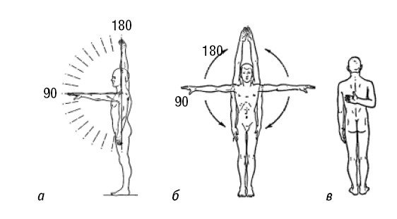 Лечимся едой. Болезни суставов и позвоночника. 200 лучших рецептов