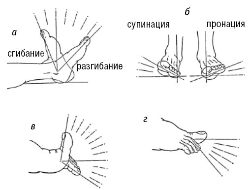Лечимся едой. Болезни суставов и позвоночника. 200 лучших рецептов