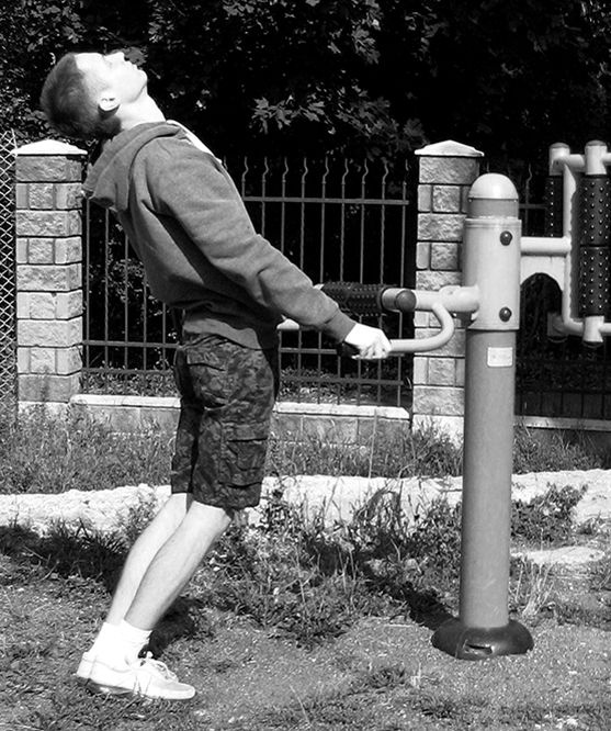 Здоровье позвоночника. Системы Попова, Бубновского и другие методики излечения Здоровье позвоночника. Системы Попова, Бубновского и другие методики излечения