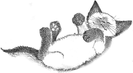 Котенок Фиалка, или Коробка с сюрпризом Котенок Фиалка, или Коробка с сюрпризом