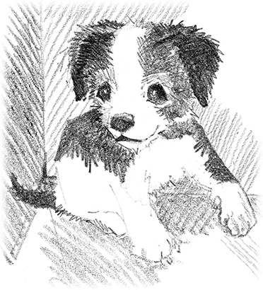 Щенок Крошка, или Друзья навек Щенок Крошка, или Друзья навек