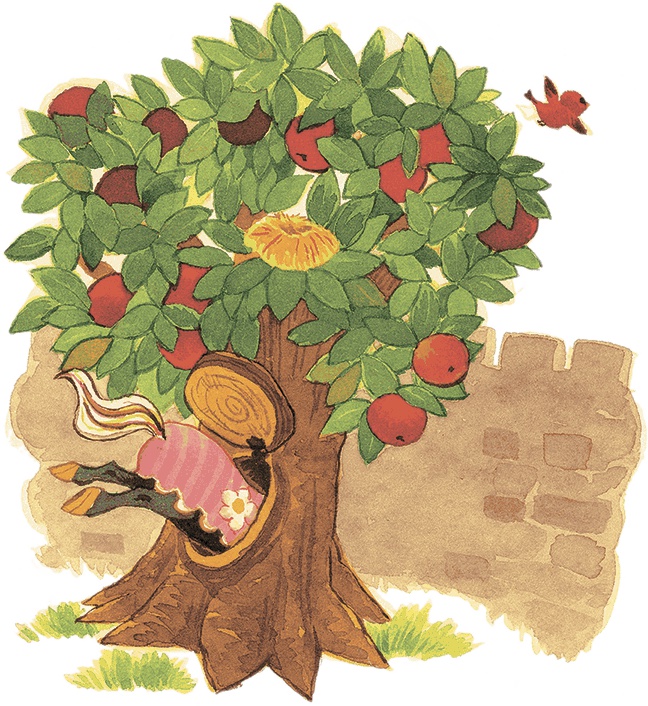 Принцесса в черном Принцесса в черном