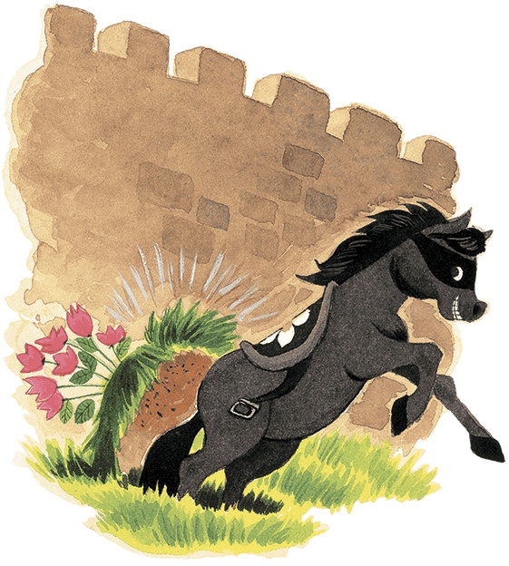 Принцесса в черном Принцесса в черном