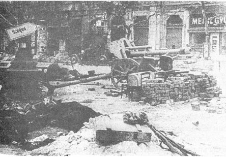 100 дней в кровавом аду. Будапешт - "дунайский Сталинград"? 100 дней в кровавом аду. Будапешт - "дунайский Сталинград"?