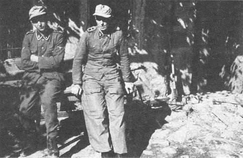 Последнее наступление Гитлера. Разгром танковой элиты Рейха Последнее наступление Гитлера. Разгром танковой элиты Рейха