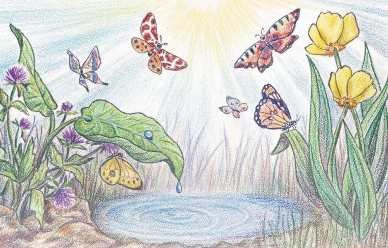 Еня и Еля. Летние истории Еня и Еля. Летние истории