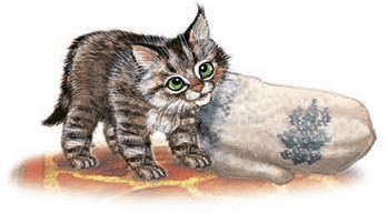 Необыкновенные приключения кошки Нюси. Домовой и тайна волшебной книги Необыкновенные приключения кошки Нюси. Домовой и тайна волшебной книги