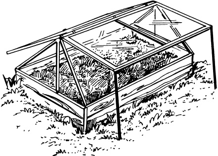 Большая энциклопедия дачника