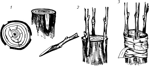 Большая энциклопедия дачника