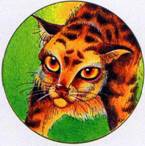 Секреты племен Секреты племен